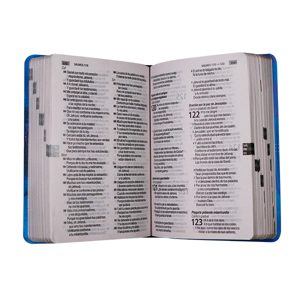 Biblia Reina Valera 1960 Mediana Letra Gigante Tapa Semiflexible León Azul [RVR.61cLGPJR]