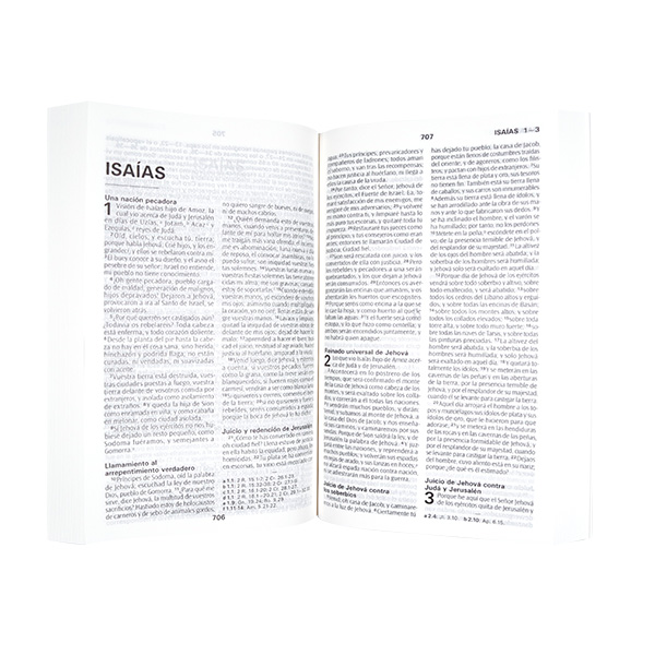 Biblia Reina Valera 1960 Mediana Letra Grande Rústica Blanca Cántaro [RVR060cLM]