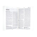 Biblia Reina Valera 1960 Mediana Letra Grande Rústica Blanca Cántaro [RVR060cLM]