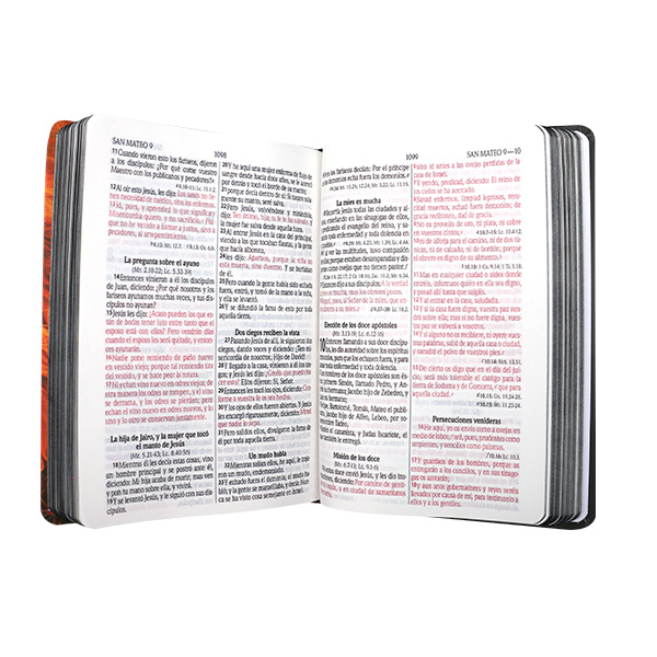 Biblia Reina Valera 1960 Mediana Letra Grande Tapa Dura León Naranja [RVR063cLGPJR]  