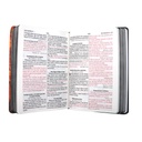 Biblia Reina Valera 1960 Mediana Letra Grande Tapa Dura León Naranja [RVR063cLGPJR]  