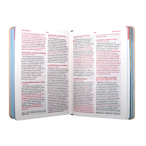 Biblia Reina Valera 1960 Mediana Letra Grande MAYUSCULA Tapa dura Mujer [RVR.063cLGPJR-MAY] 