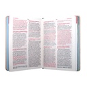 Biblia Reina Valera 1960 Mediana Letra Grande MAYUSCULA Tapa dura Mujer [RVR.063cLGPJR-MAY] 