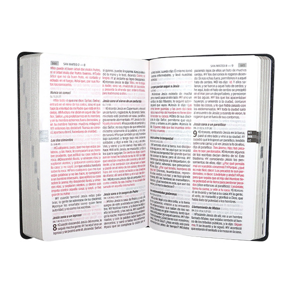 Biblia Reina Valera 1960 Mediana Letra Grande PVC [RVR.062cLGPJR] 