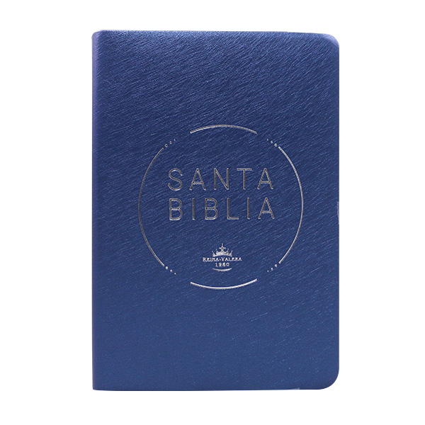 Biblia Reina Valera 1960 Mediana Letra Grande PVC [RVR.062cLGPJR] 