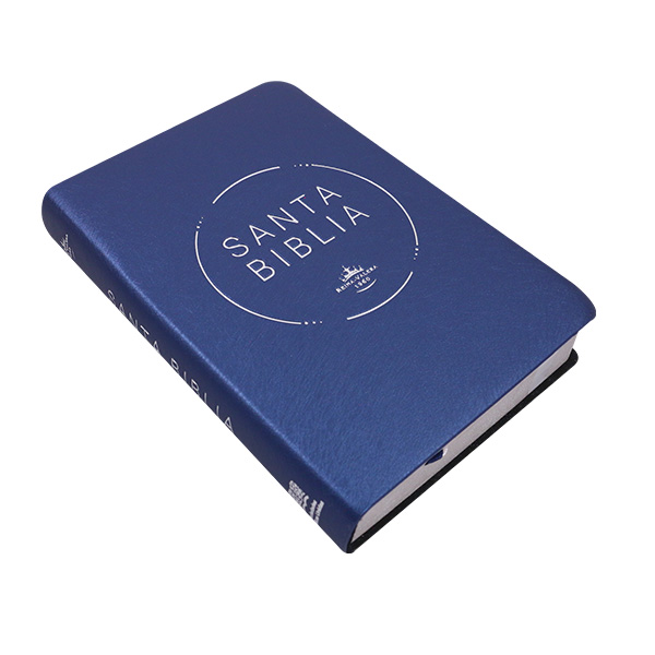 Biblia Reina Valera 1960 Mediana Letra Grande PVC [RVR.062cLGPJR] 