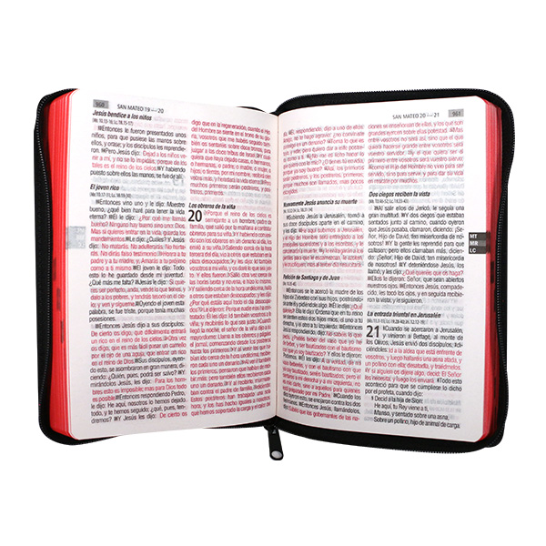 Biblia Reina Valera 1960 Mediana Letra Grande Vinil Negro con cierre [RVR.062cLGPJRZ] 