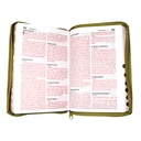 Biblia Reina Valera 1960 Mediana Letra Grande Covertex Verde [RVR.65cLGPJRTIZ-GPR]