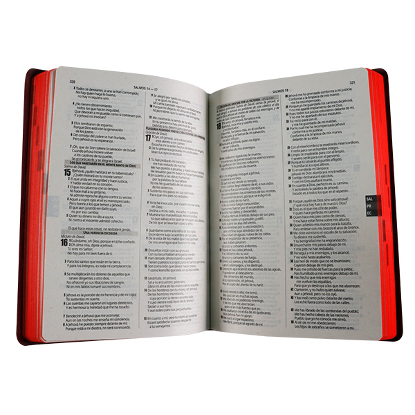 Biblia Fuente de Bendiciones Reina Valera 1960 Mediana Letra Mediana Imitación Piel Vino [RVR.65uecFBPJR] 