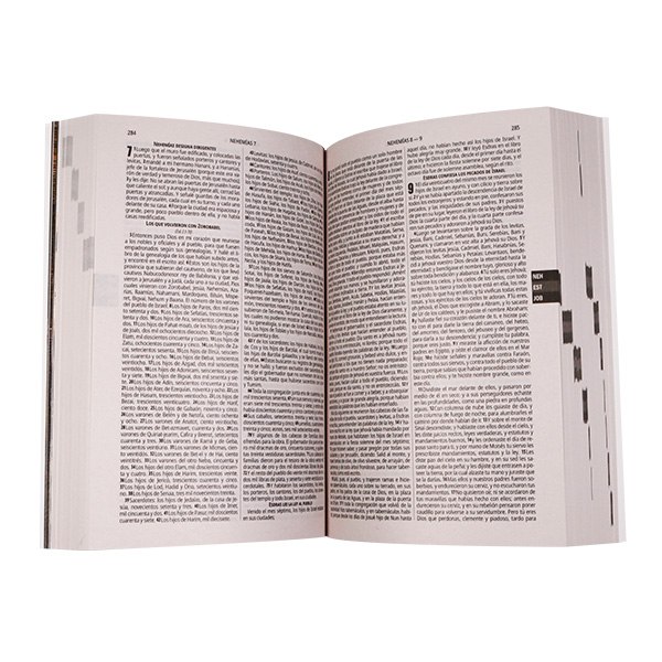 Biblia Misionera Reina Valera 1960 Razones Para No Renunciar Mediana Rústica Negro Amarillo [RVR.60uecFBPJR] 