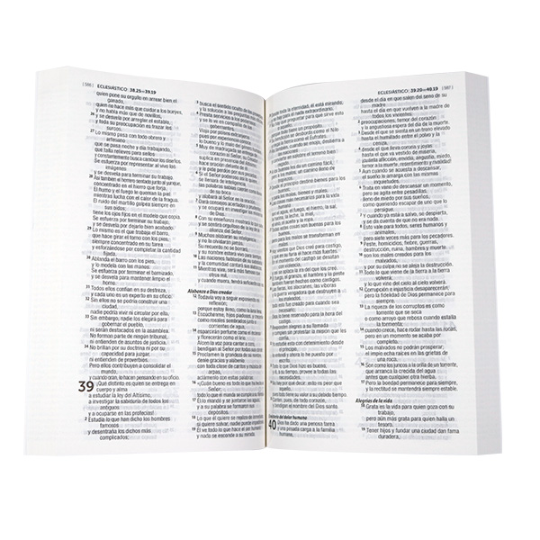 Biblia Misionera Dios Habla Hoy Mediana Letra Mediana Tapa Rústica Verde [DHH.60DKue] 