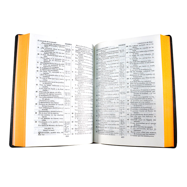 Biblia Reina Valera 1909 Mediana Letra Mediana Vinil Vino [VR052]