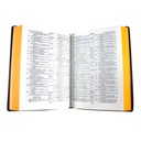 Biblia Reina Valera 1909 Mediana Letra Mediana Vinil Vino [VR052]