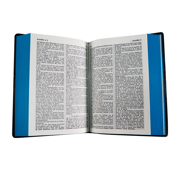 Biblia Reina Valera 1960 Chica Letra Chica Vinil Azul [RVR042C]