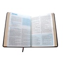 Biblia de Estudio para la Predicación Reina Valera 1960 Grande Letra Grande Imitación Piel Café [RVR085LG]