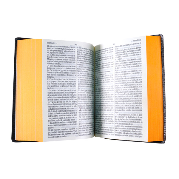 Biblia Reina Valera 1960 Tamaño Bolsillo Letra Chica Vinil Vino Ocean [RVR022c]