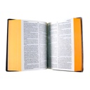 Biblia Reina Valera 1960 Tamaño Bolsillo Letra Chica Vinil Vino Ocean [RVR022c]