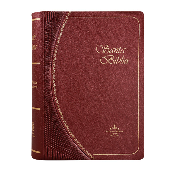Biblia Reina Valera 1960 Tamaño Bolsillo Letra Chica Vinil Vino Ocean [RVR022c]