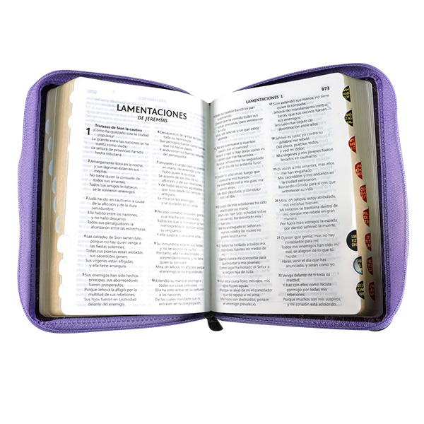 Biblia Reina Valera 1960 Chica Letra Mediana Tela Lila [RVR044cZLGTI]
