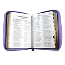 Biblia Reina Valera 1960 Chica Letra Mediana Tela Lila [RVR044cZLGTI]