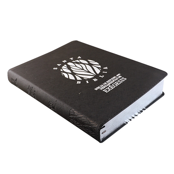 Biblia de Estudio Exégesis Reina Valera 1995 Grande Letra Mediana Imitación Piel Negro/Sello Plata [RVR95086cEELM] 