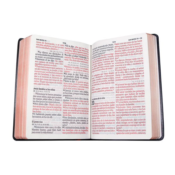 Biblia Reina Valera 1960 Mediana Letra Gigante Vinil Negro Canto Cobre Afinidad  RVR062cLGiPJR-MEX