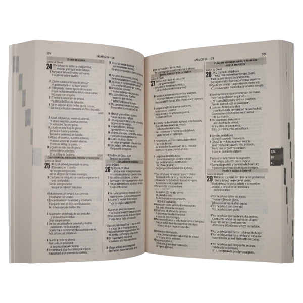 Biblia Misionera Reina Valera 1960 Mediana Letra Mediana Tapa Rústica Azul [RVR.60uecFBPJr] 