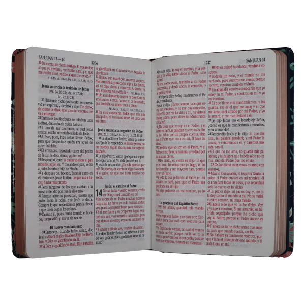 Biblia Reina Valera 1960 Tapa Dura Azul Flores Canto Bronce [RVR063CLGPJR] 