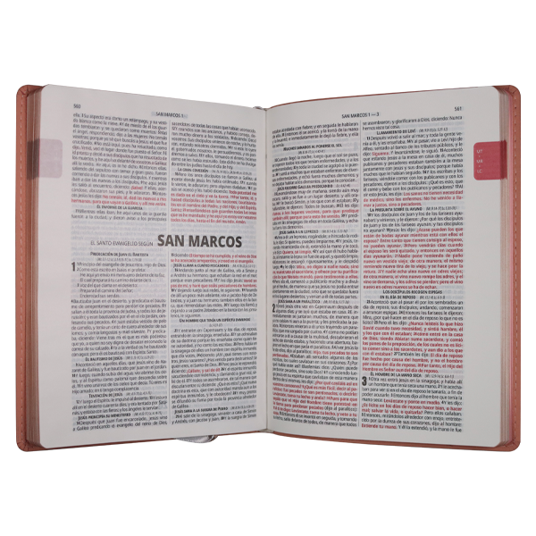 Biblia Reina Valera 1960 Grande Letra Mediana Piel Genuina Rosa [RVR.89cFBPJR] 