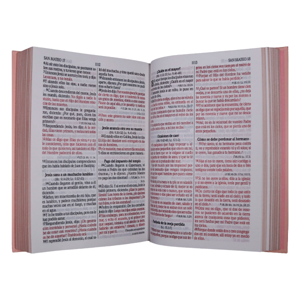 Biblia Reina Valera 1960 Mediana Letra Grande Minimalista Tapa Dura Rosado [RVR063cLGPJR]  