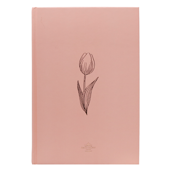 Biblia Reina Valera 1960 Mediana Letra Grande Minimalista Tapa Dura Rosado [RVR063cLGPJR]  