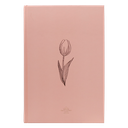 Biblia Reina Valera 1960 Mediana Letra Grande Minimalista Tapa Dura Rosado [RVR063cLGPJR]  