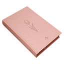 Biblia Reina Valera 1960 Mediana Letra Grande Minimalista Tapa Dura Rosado [RVR063cLGPJR]  