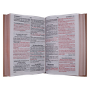 Biblia Reina Valera 1960 Mediana Letra Grande Minimalista Tapa Dura Marrón [RVR063cLGPJR]  