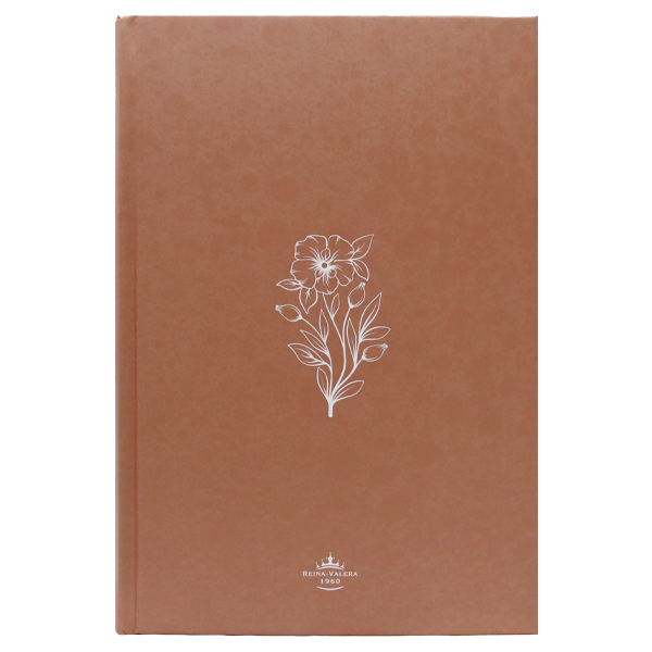 Biblia Reina Valera 1960 Mediana Letra Grande Minimalista Tapa Dura Marrón [RVR063cLGPJR]  