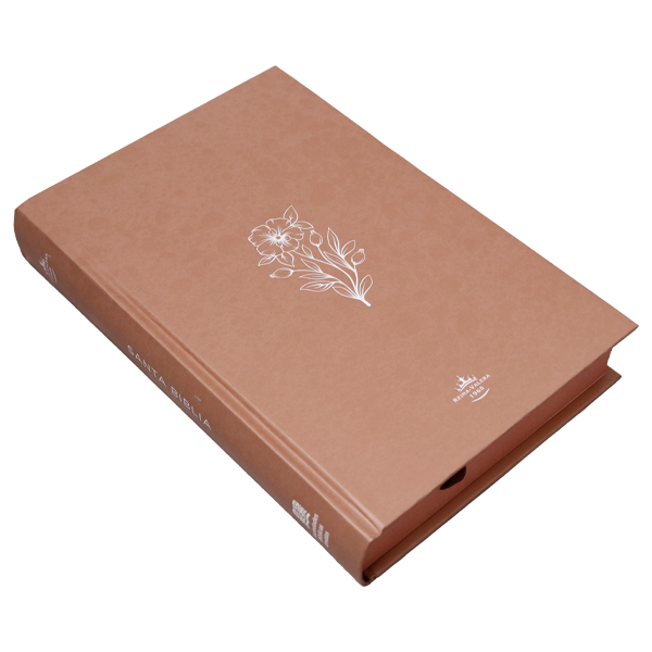 Biblia Reina Valera 1960 Mediana Letra Grande Minimalista Tapa Dura Marrón [RVR063cLGPJR]  
