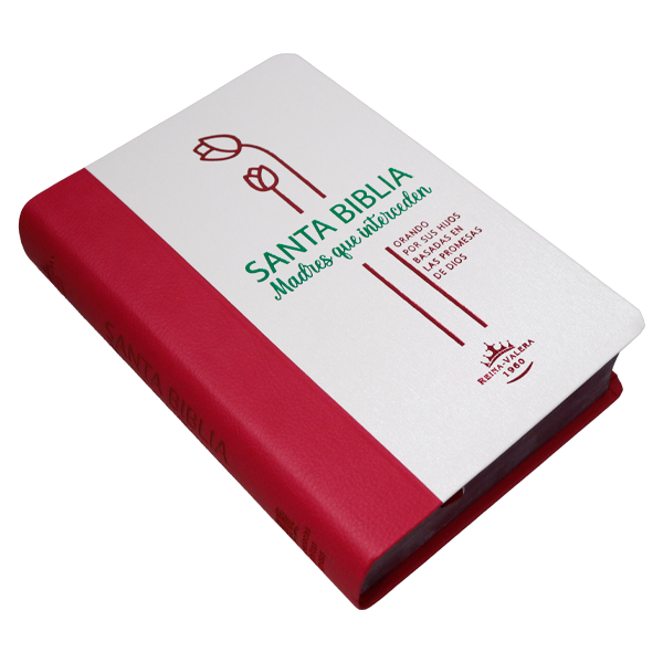 Biblia Reina Valera 1960 Madres que interceden Letra Grande Imitación Piel Fucsia/Rosa [RVR066LGPJR-MI] 