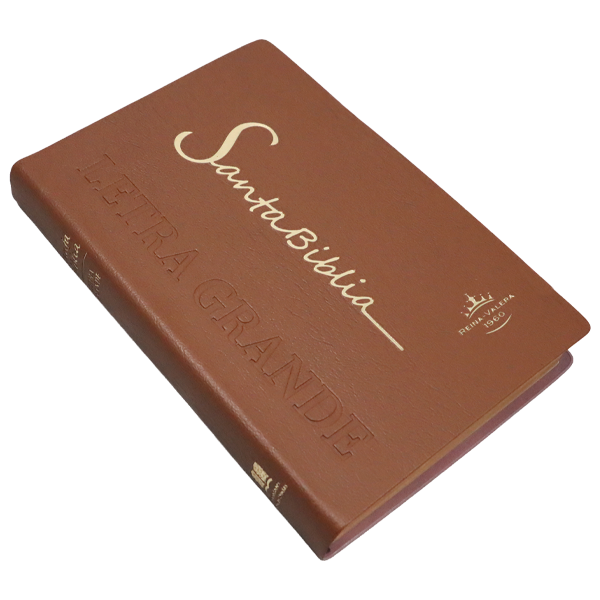 Biblia Reina Valera 1960 Mediana Letra Grande Vinil Marrón [RVR062cLG PE] 