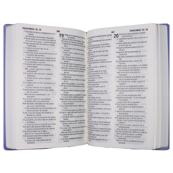 Biblia Reina Valera 1960 Mediana Letra Grande Vinil Morado [RVR062cLG PE] 