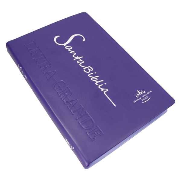 Biblia Reina Valera 1960 Mediana Letra Grande Vinil Morado [RVR062cLG PE] 