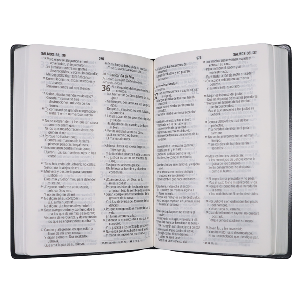 Biblia Reina Valera 1960 Mediana Letra Grande Vinil Gris [RVR062cLG PE] 