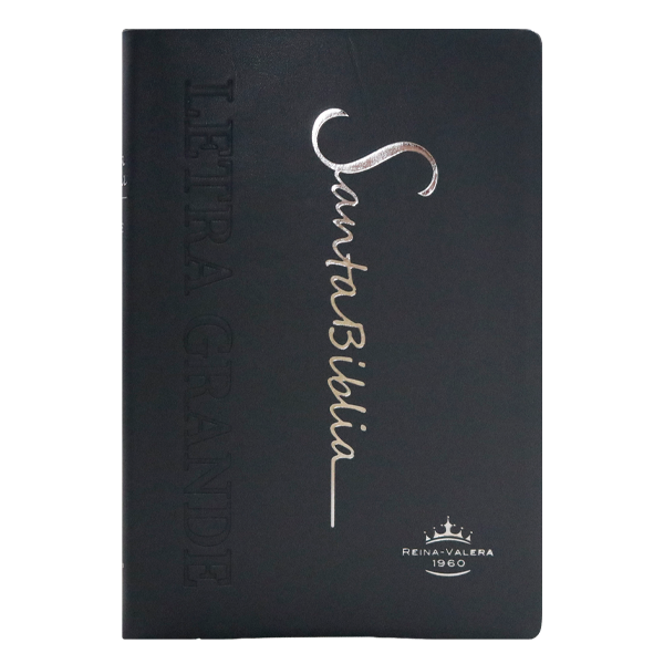 Biblia Reina Valera 1960 Mediana Letra Grande Vinil Gris [RVR062cLG PE] 