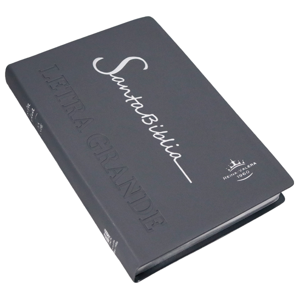 Biblia Reina Valera 1960 Mediana Letra Grande Vinil Gris [RVR062cLG PE] 