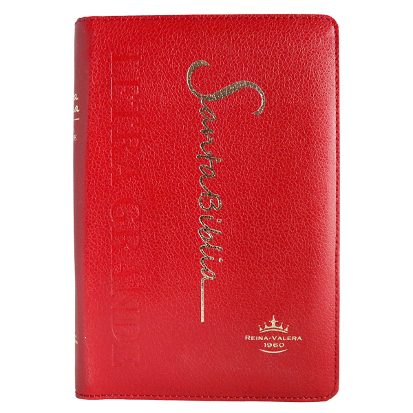 Biblia Reina Valera 1960 Mediana Letra Grande Imitación Piel Vino [RVR065cZLG PE] 