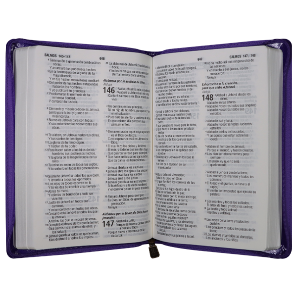 Biblia Reina Valera 1960 Mediana Letra Grande Imitación Piel Morado [RVR065cZLG PE] 