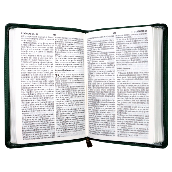 Biblia Reina Valera 1960 Mediana Letra Grande Imitación Piel Verde [RVR065cZLG PE] 