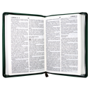 Biblia Reina Valera 1960 Mediana Letra Grande Imitación Piel Verde [RVR065cZLG PE] 