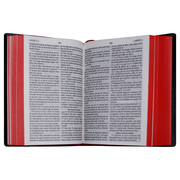 Biblia Reina Valera 1960 Tamaño Bolsillo Letra Mediana Vinil Negro [RVR022c String] 