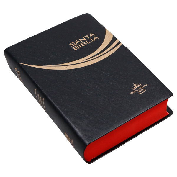 Biblia Reina Valera 1960 Tamaño Bolsillo Letra Mediana Vinil Negro [RVR022c String] 
