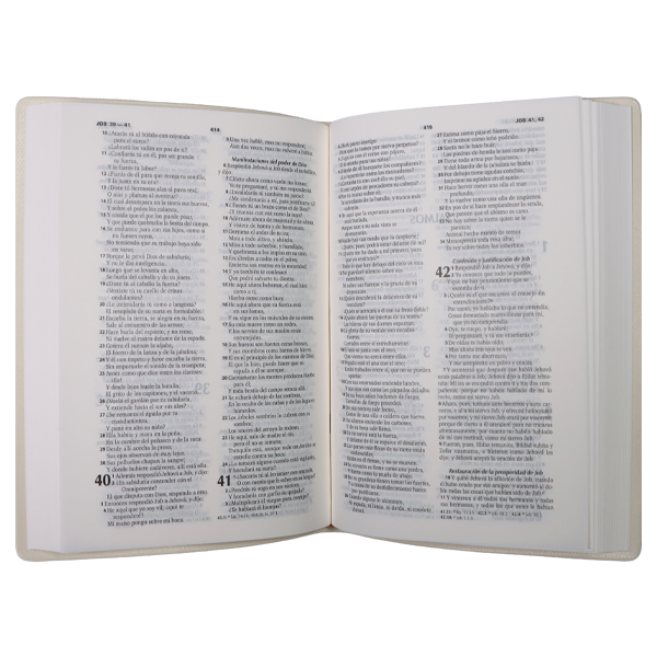 Biblia Reina Valera 1960 Chica Letra Mediana Vinil Celeste [RVR042e] 